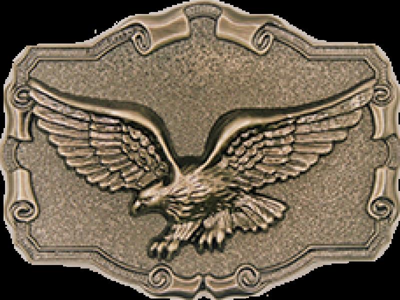 Eagle Buckle Ant Nickel