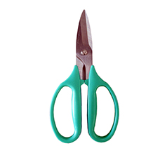 Scissors Green Handle